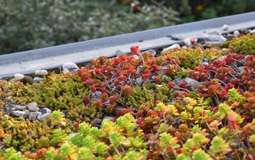 the cost of Swanside green roof installation
