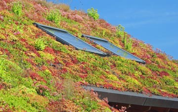 Swanside living roof systems