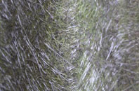 Swanside fibreglass roof work